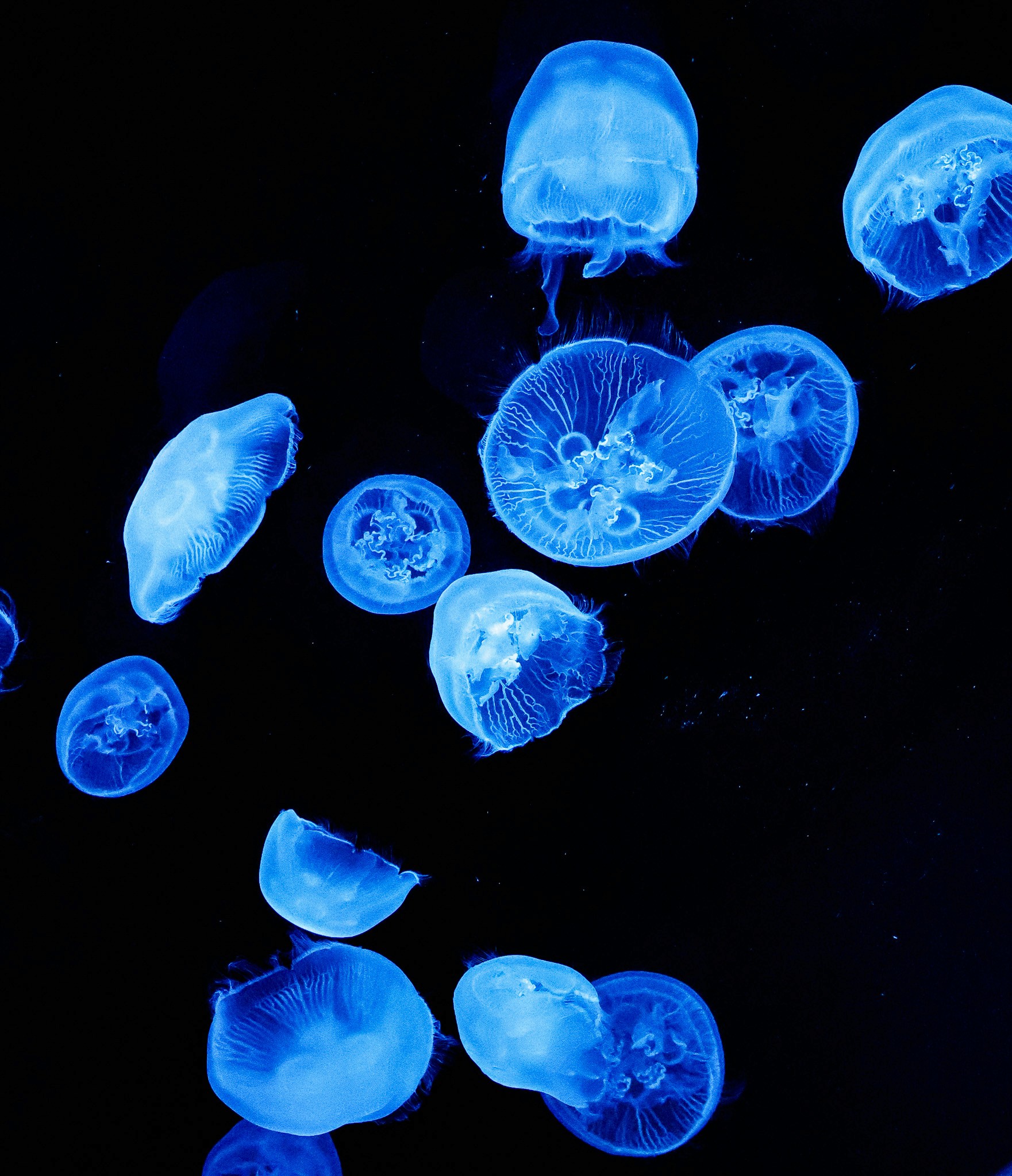 How AI is Transforming Design in 2025