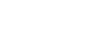 Cyber Fund logo