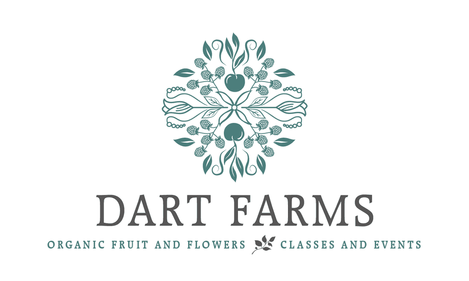 serif font
