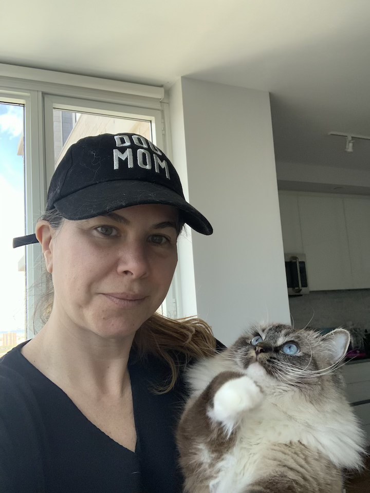 Cats