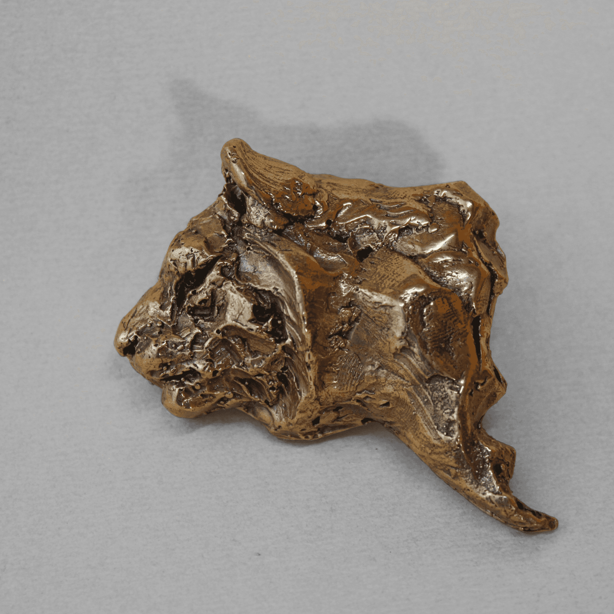 Bronze sculpture of a Lion's head