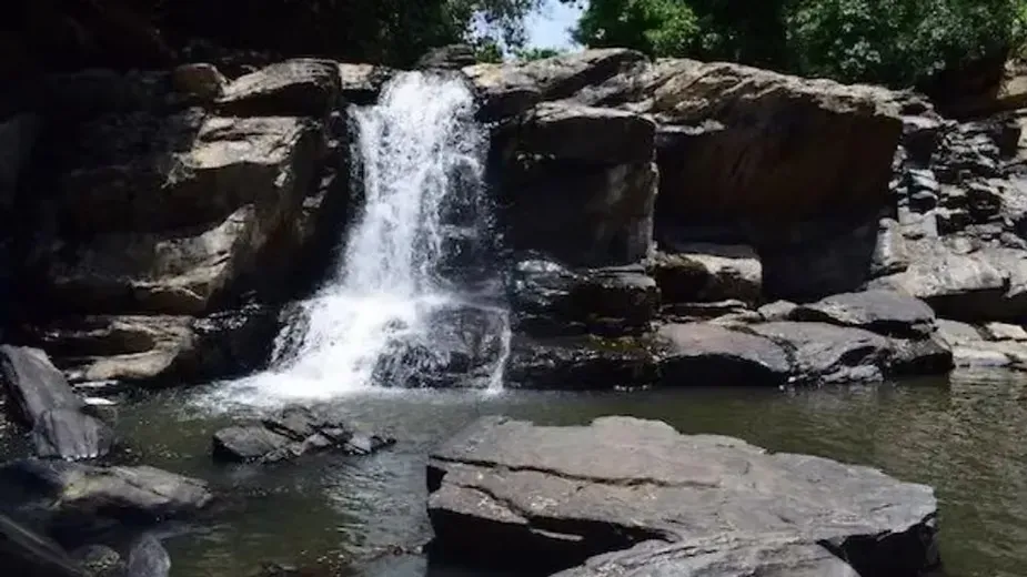 Mookanamane Falls.webp