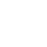 Auto Capture Details icon