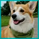 Cooper Lane-Profilbild für Bewertungen auf unserem Discord-Profilbildgenerator
