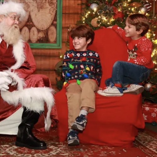 坦帕动物园：野生圣诞节门票信息