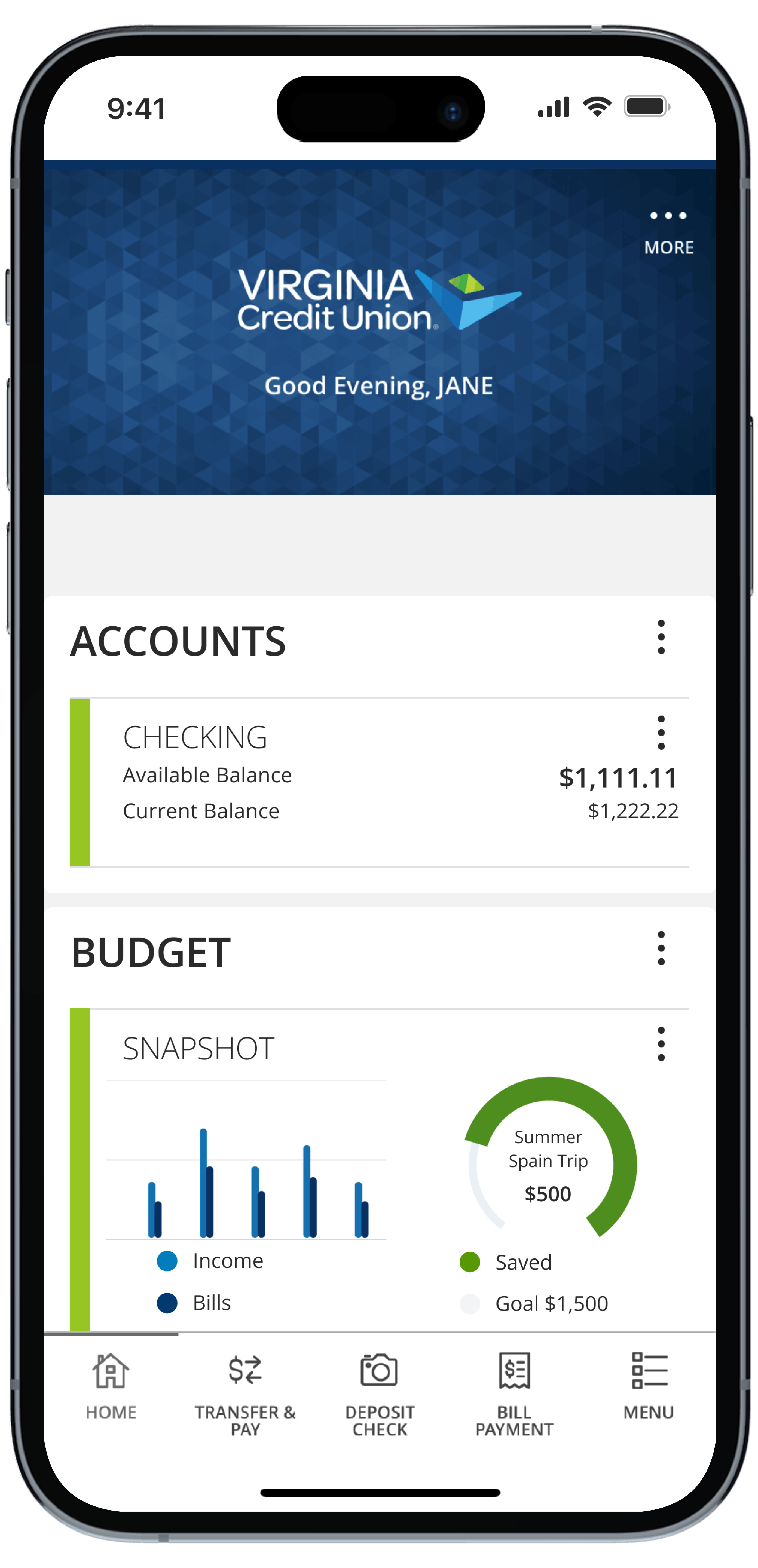 iPhone mockup featuring VACU accounts screen with budget 