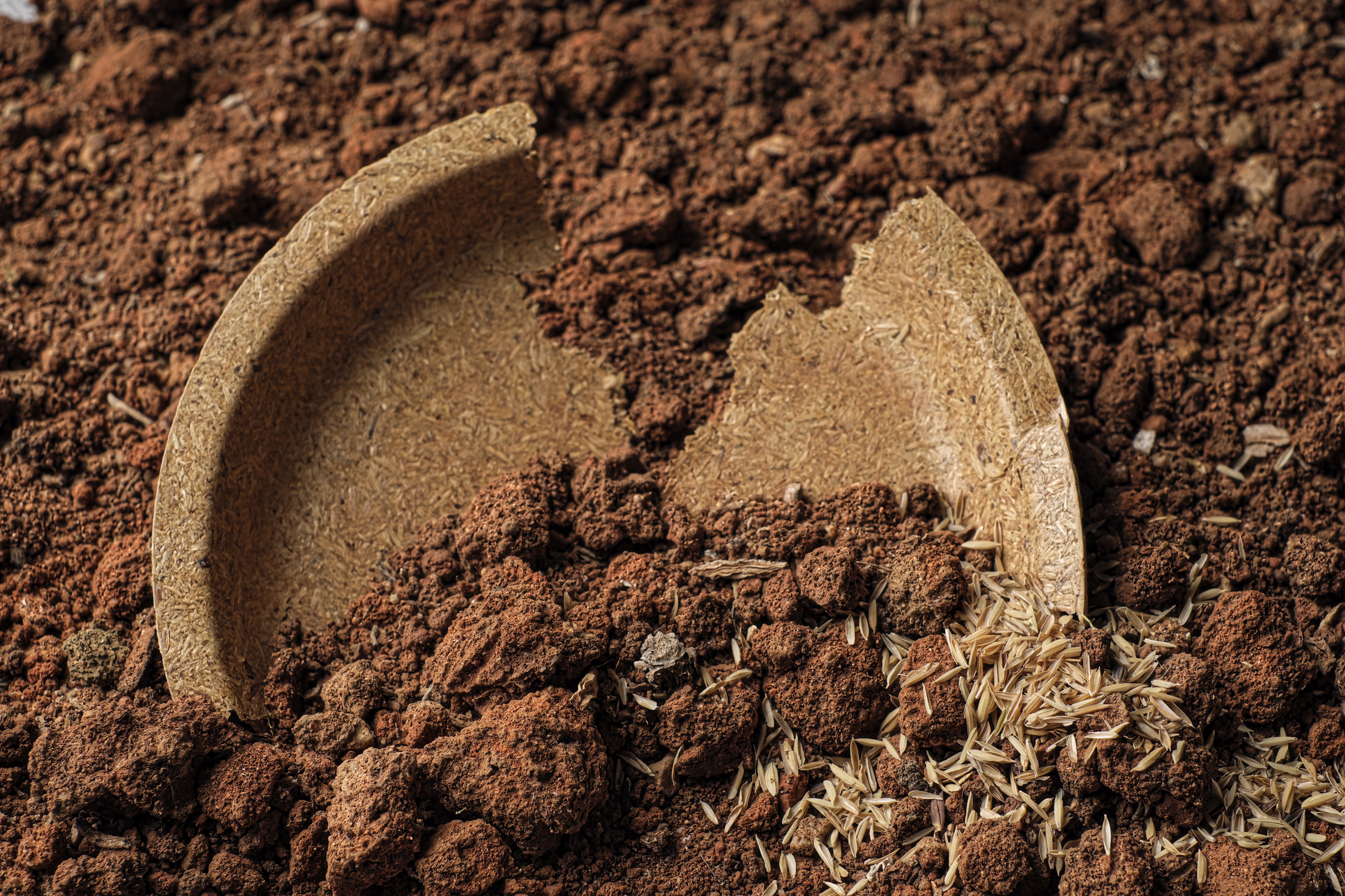 Soil