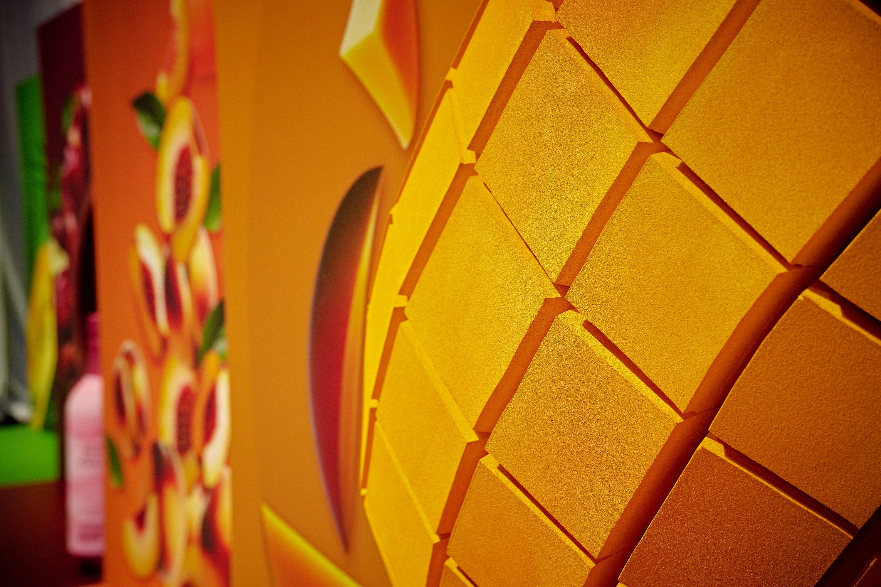 Large scale design artwork for the Forever Living FGR25 Paris event, flat artwork.