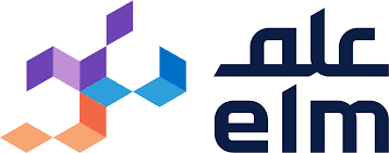 Partner logo 3 — Government & Public Services