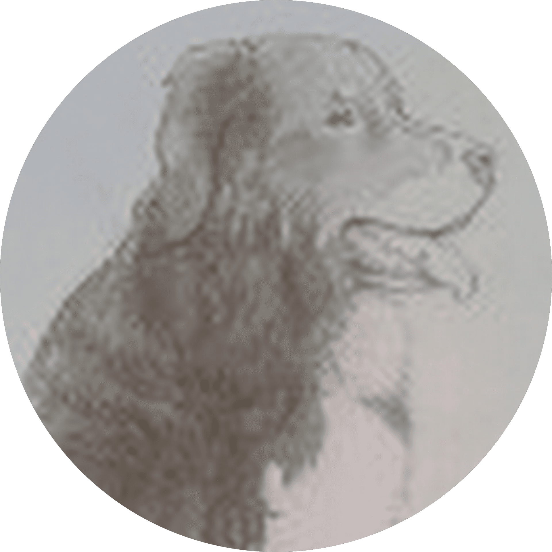 Profielfoto van een Astro gebruiker