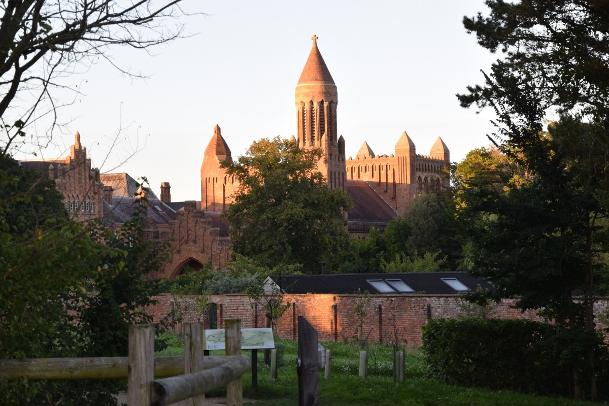brown concrete cathedral