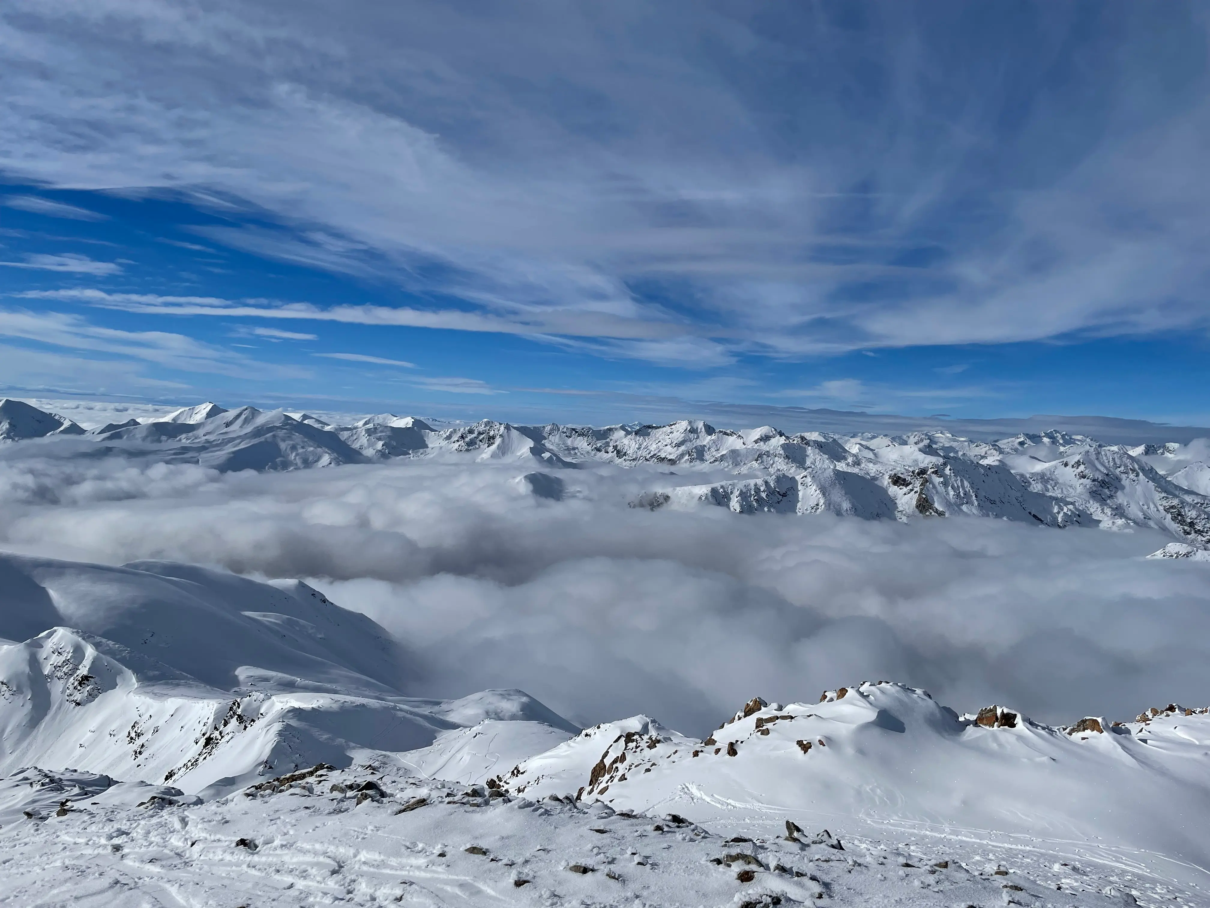 horse in the valley with foggy background