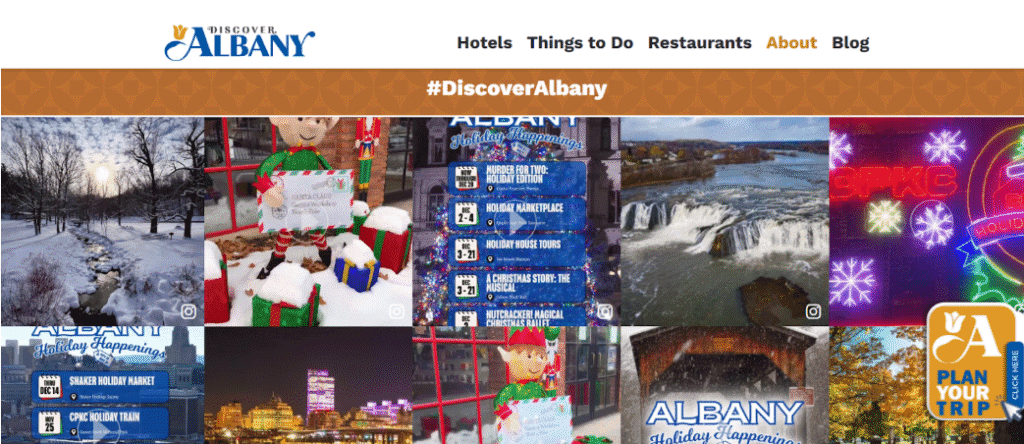discovery albany