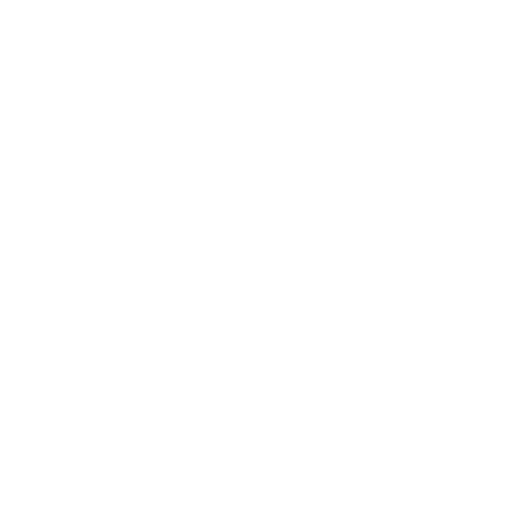 presentation icon