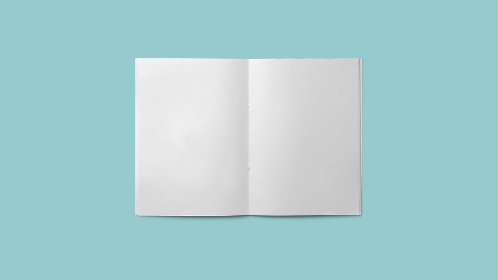 Blank Book