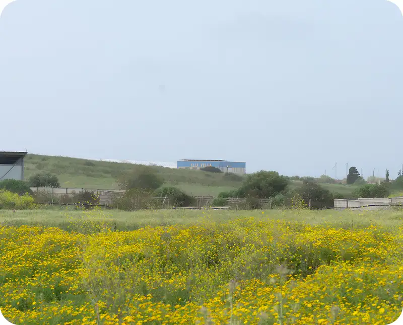 azienda agricola fratelli vella vista da lontano