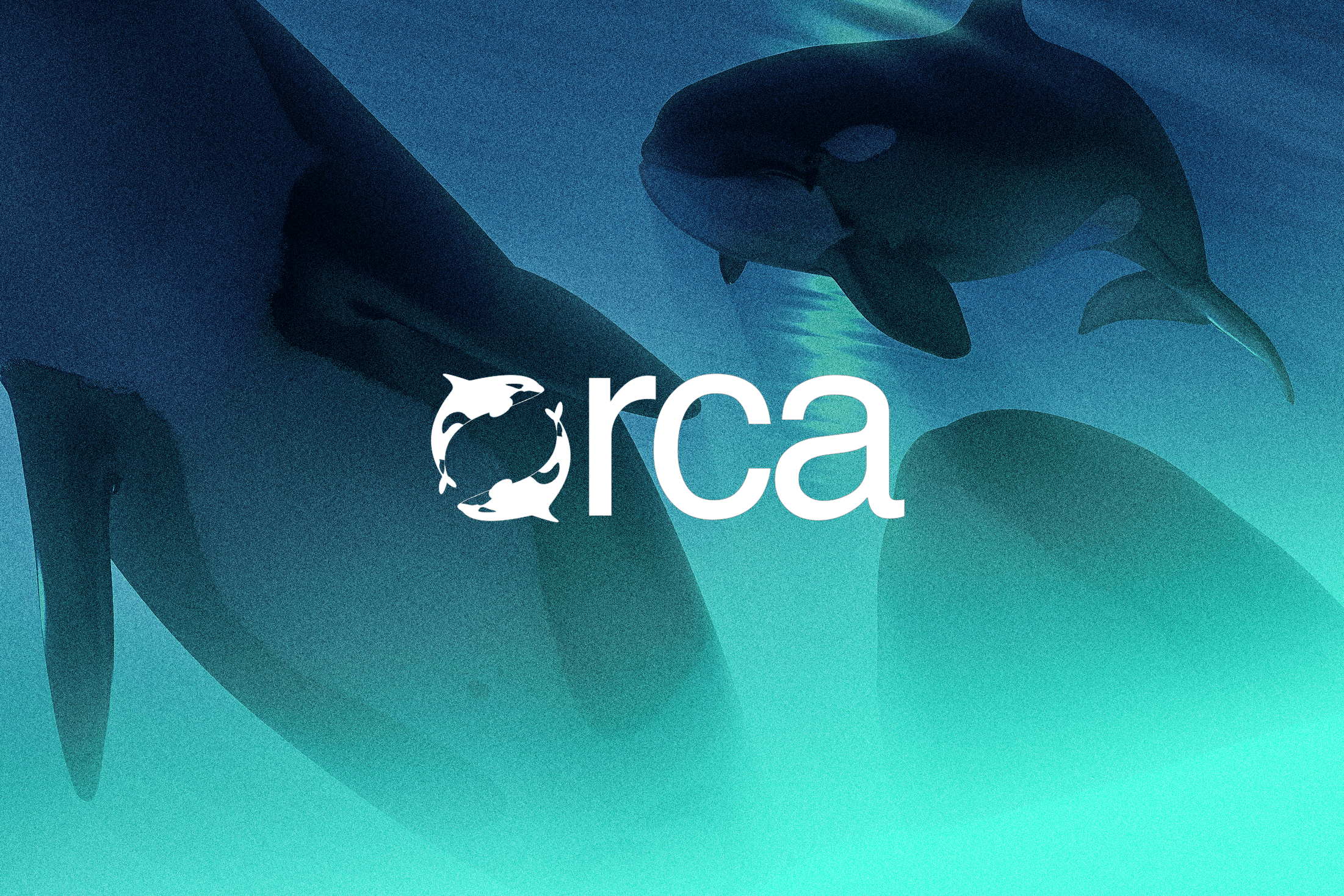Orca logo design for sports tech startup