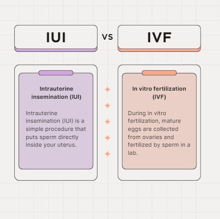 IUI vs IVF: Which fertility treatment is better?