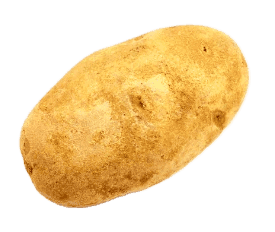 Bali beach (Background Removed)