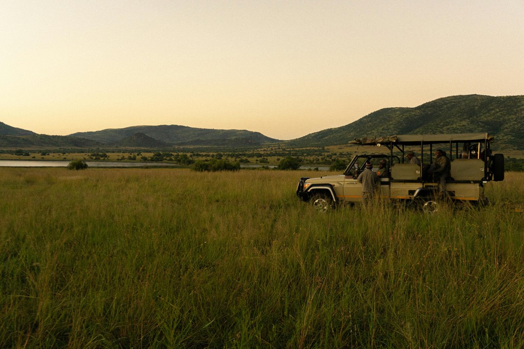 Safari Drive Landscape