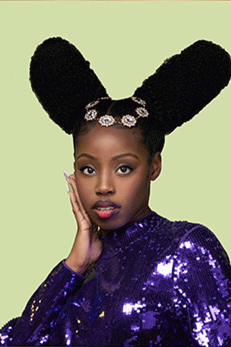 PARDON MY FRO Fashion campaign creative direction by Miami fashion stylist Steven Lassalle