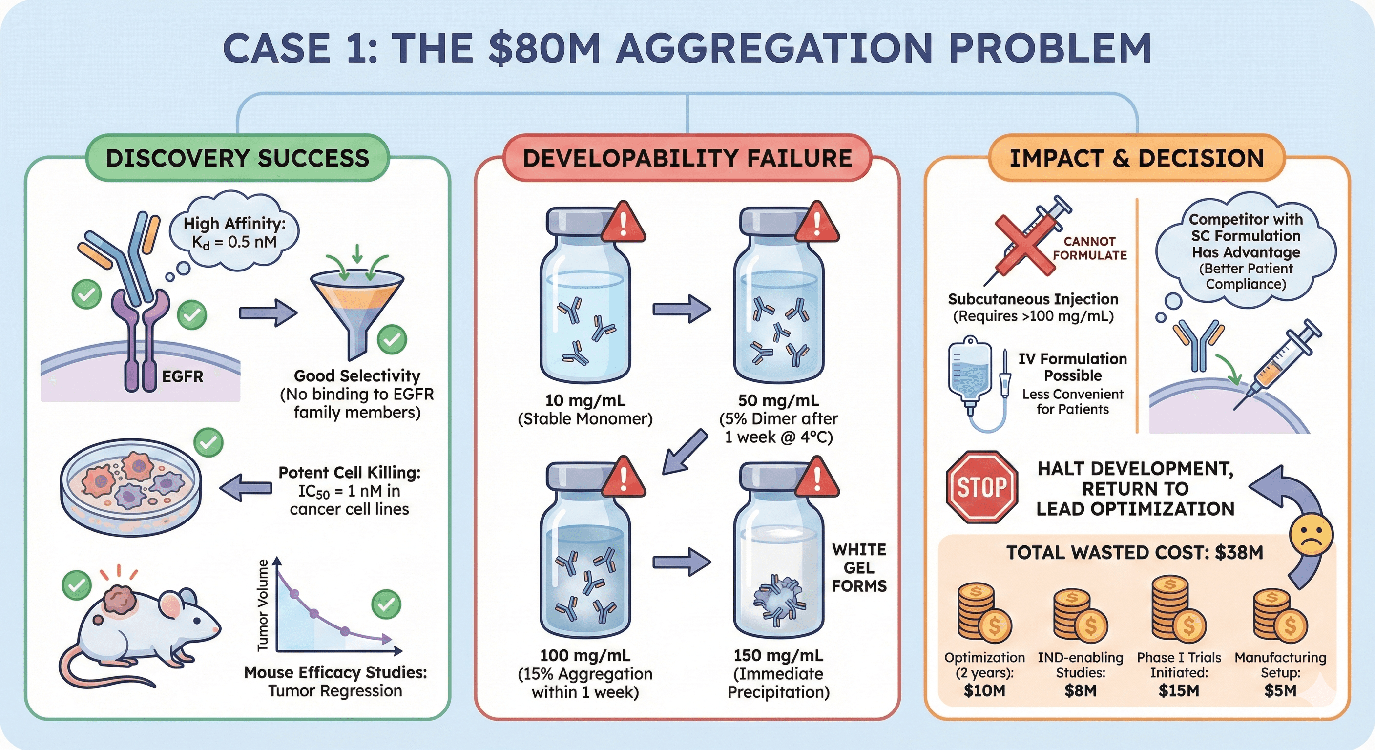 Diagram Showcasing The Aggergation Problem Financial Size of Antibodies