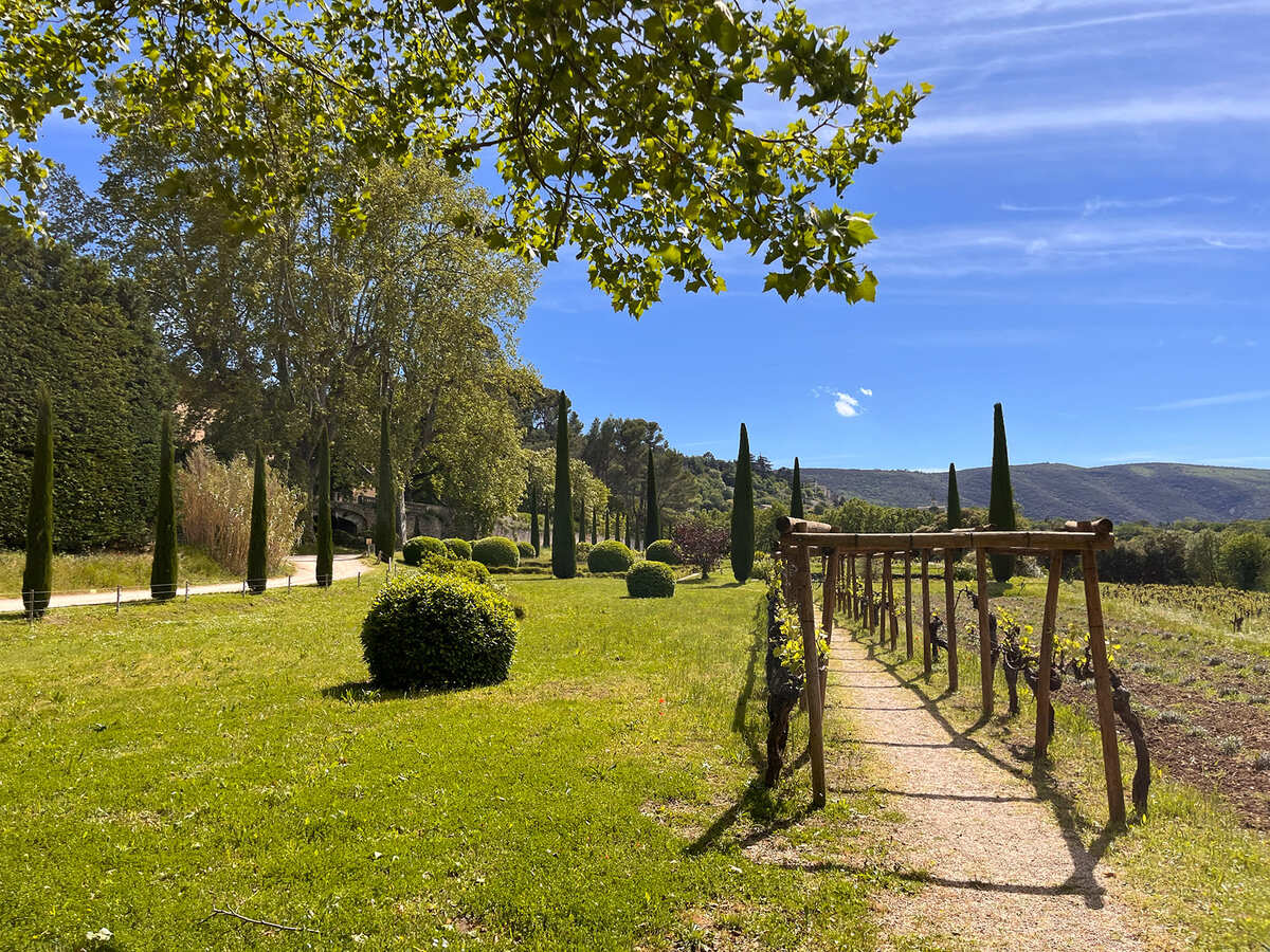 Vignobles provence - Villa Mauricette