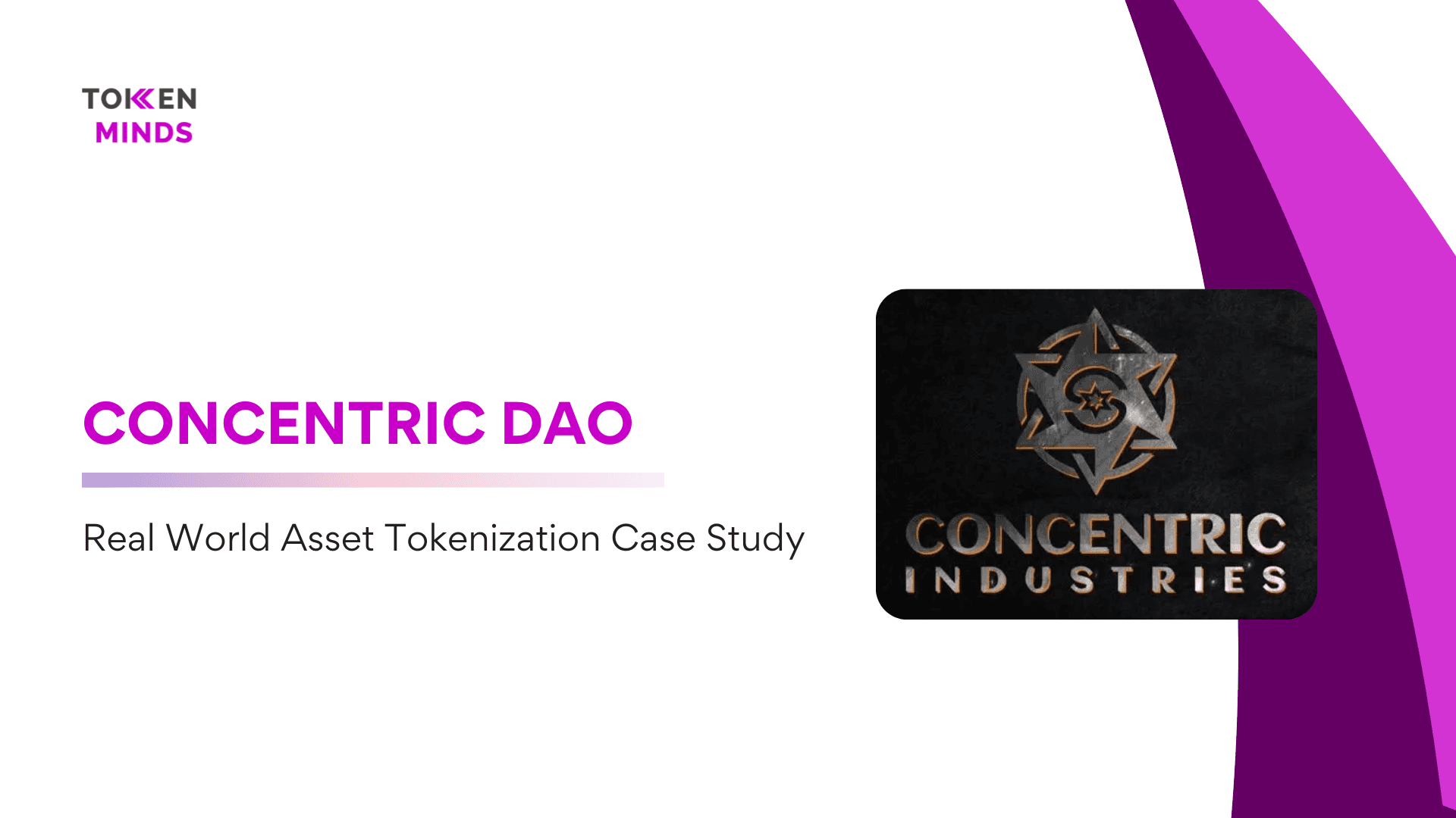 Crypto influencer marketing case study