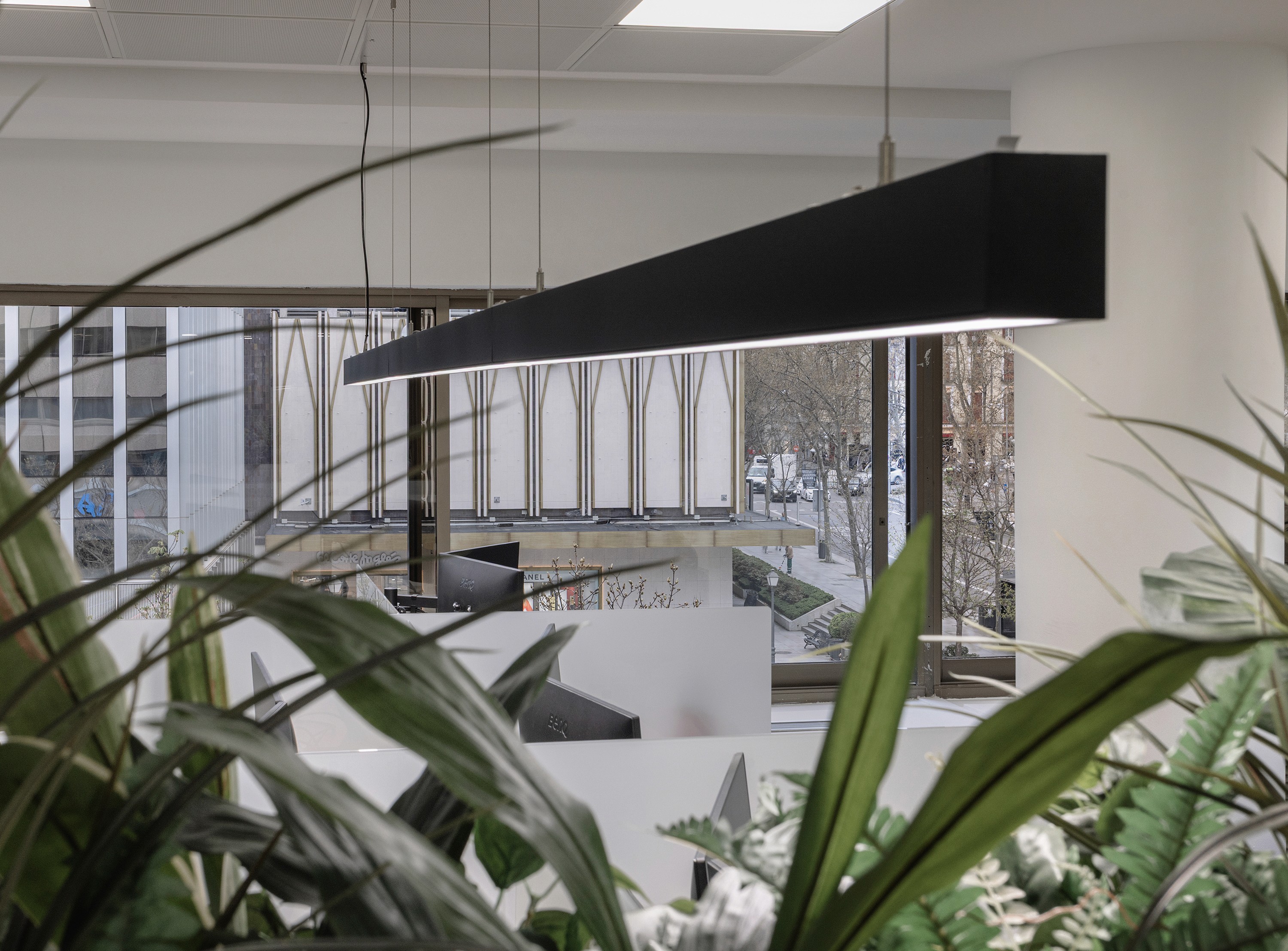Gallery image 10