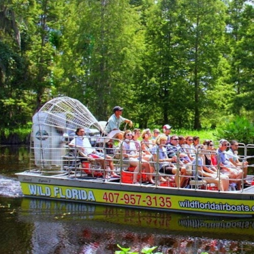 Be sure to ride the airboat at Wild Florida