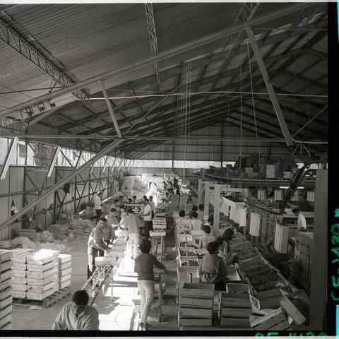 Panorámica interior packing Lyon.