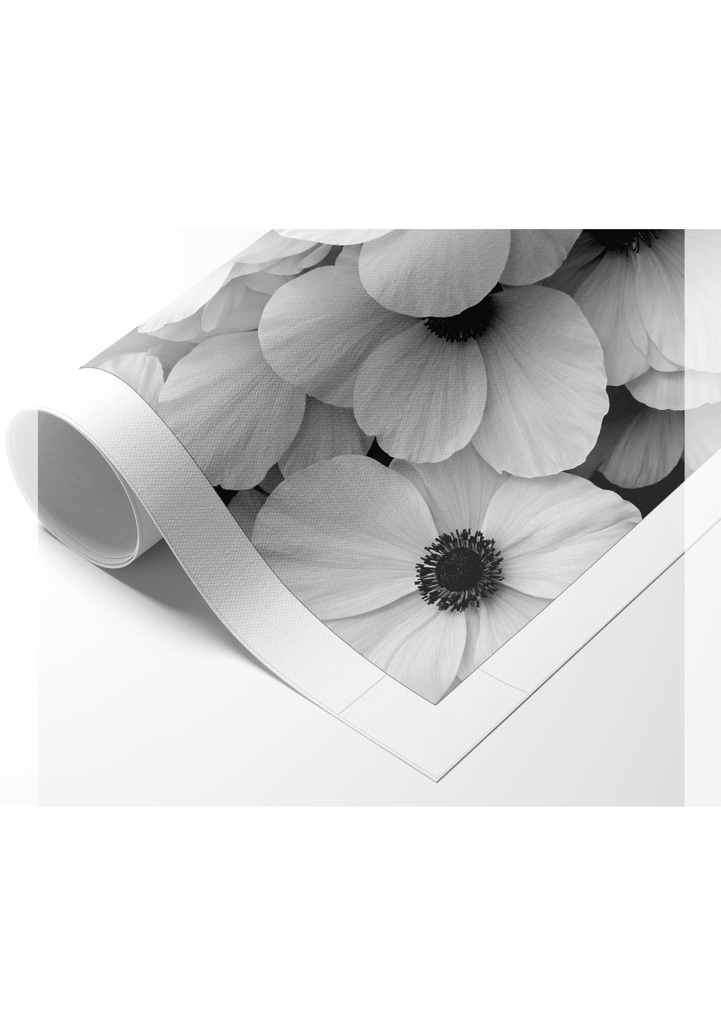 Modern B&W art