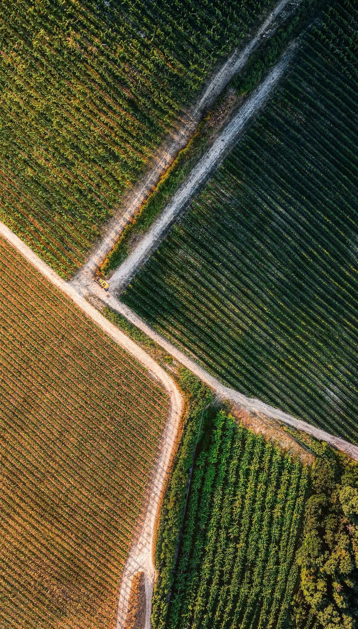 Aerial view of a crossroads running through farmland