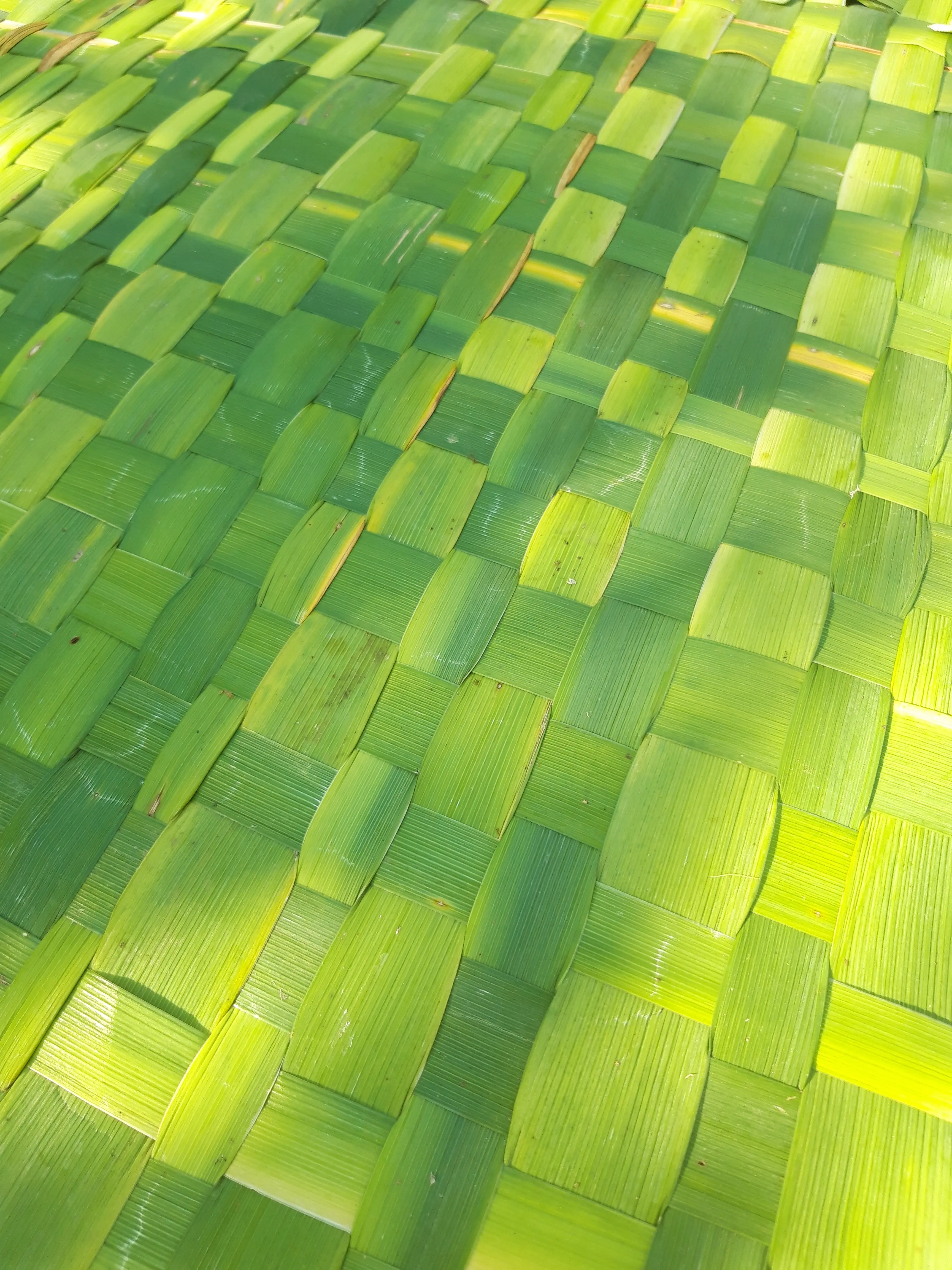 Andrea Modesti, istruttore di survival e bushcraft, esperto in campi avventura per ragazzi e corsi di sopravvivenza outdoor