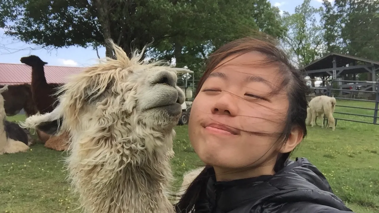 Lynn smiling next to an alpaca