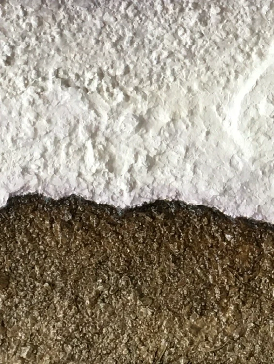 Fortress Europe, 2023. Mixed media on cardboard. by Barbara Walker.