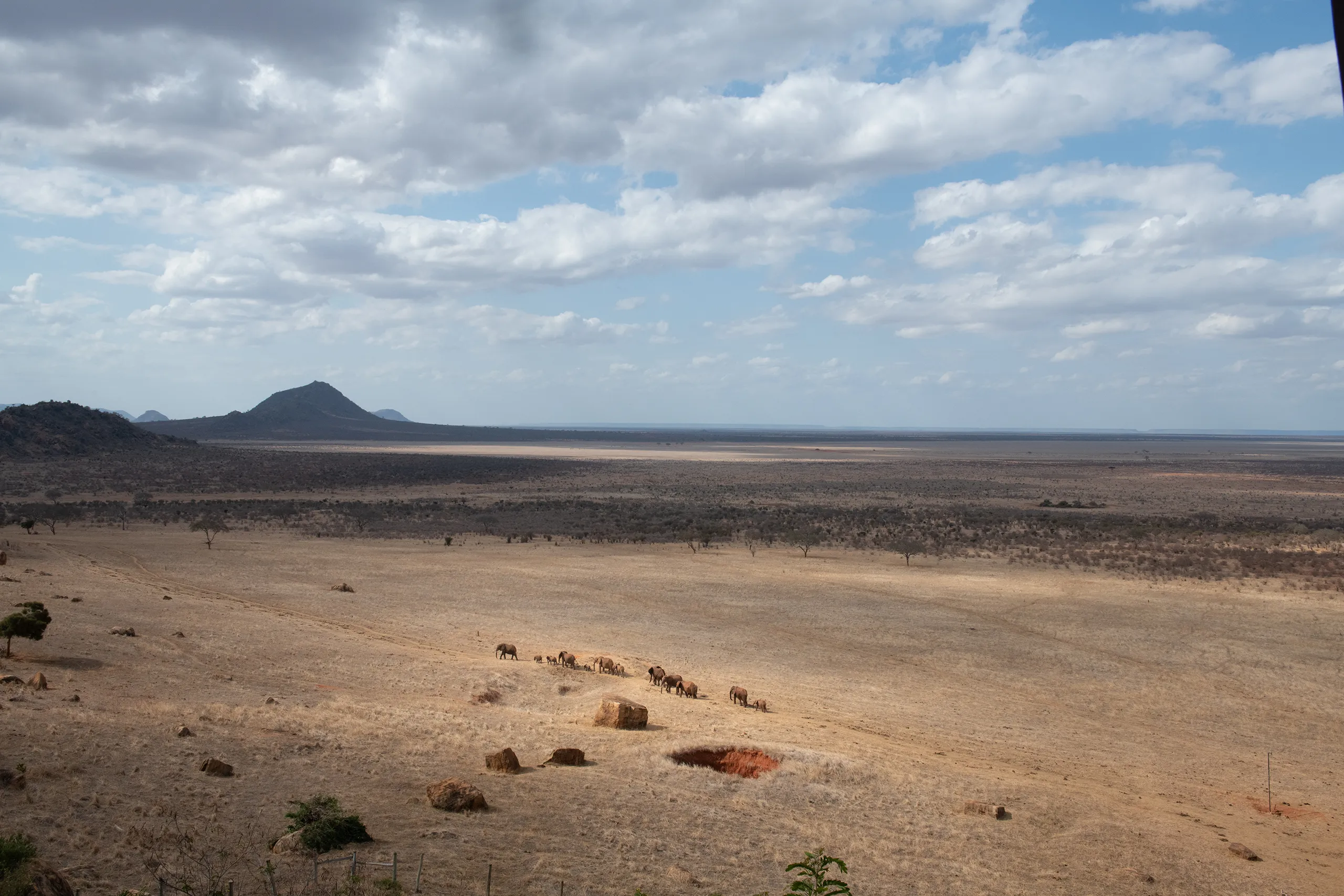 A wide expansive landscape shot of the Kenyan savannah with a small herd of elephants in the distance.