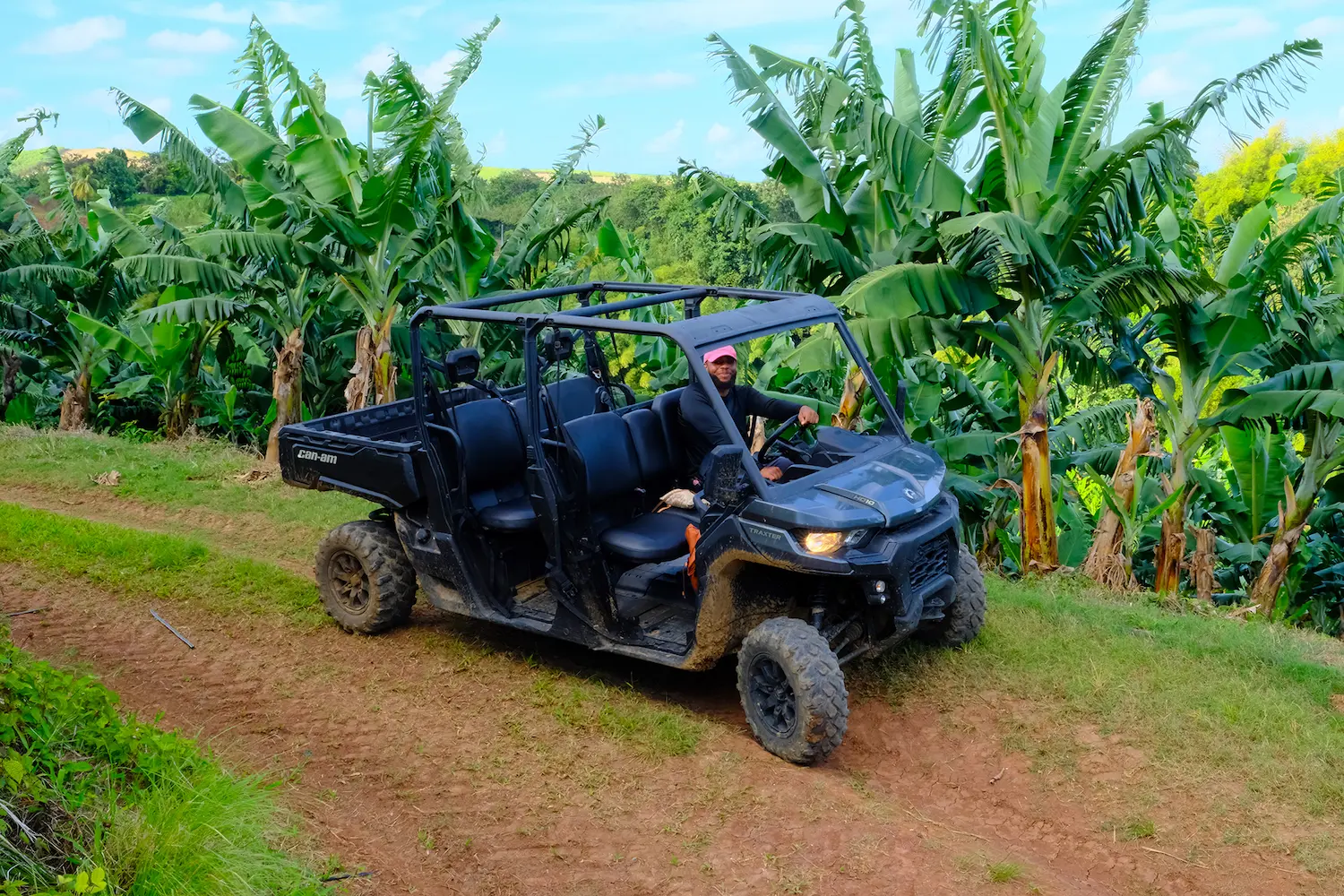 Image d'un buggy en excursion dans la bananeraie