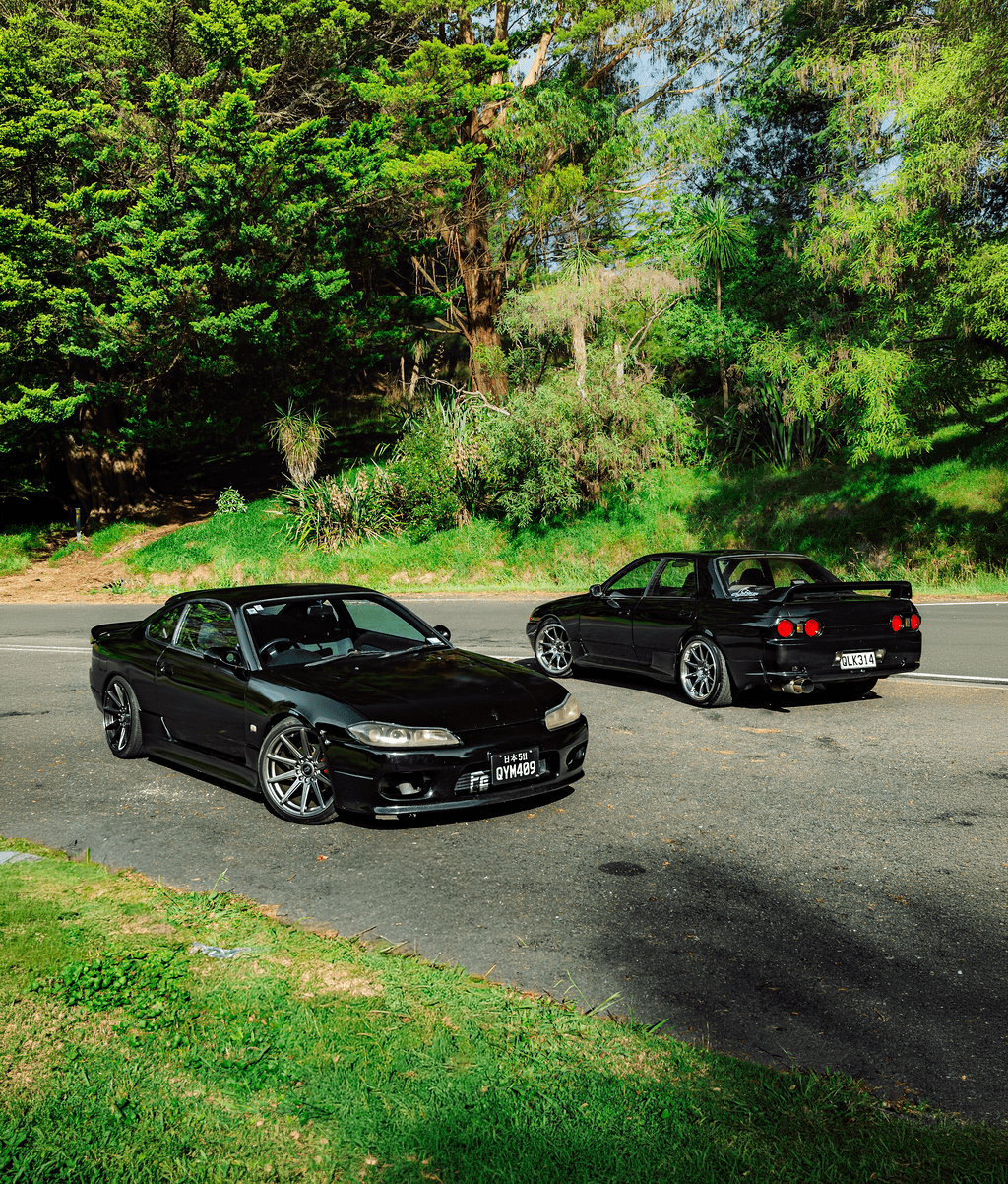 Silvia and Skyline