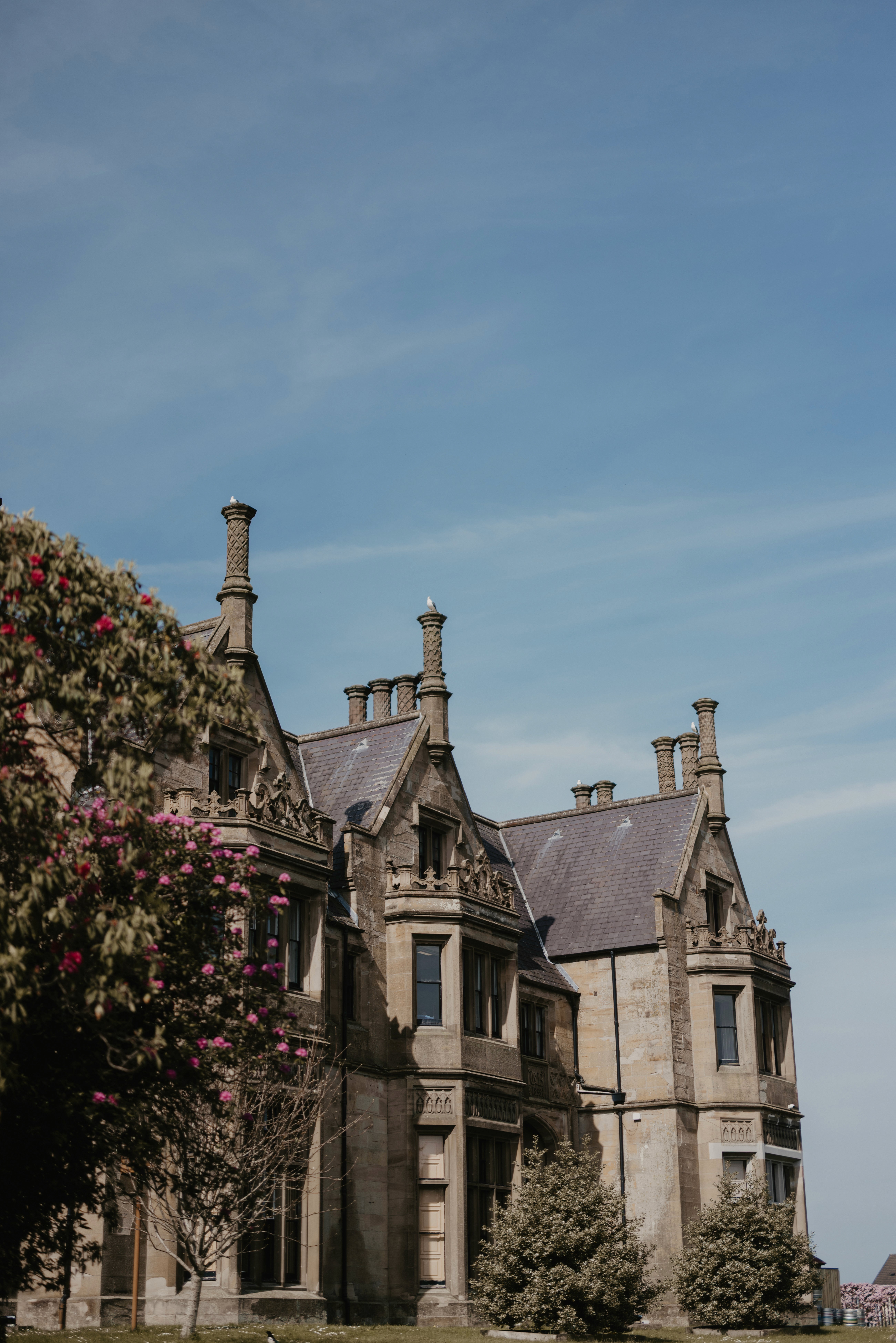 TNIWF at Brownlow Castle 2025
