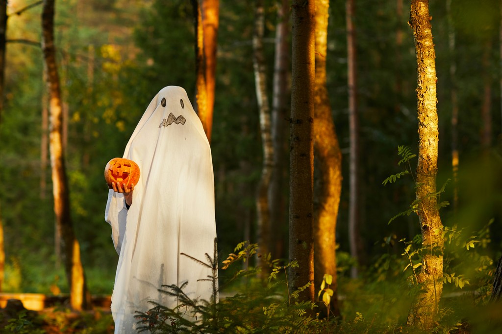 A person dressed as a ghost, with a white sheet covering them and black eyes and mouth drawn on it, stands in a sunlit forest holding a carved Halloween pumpkin.