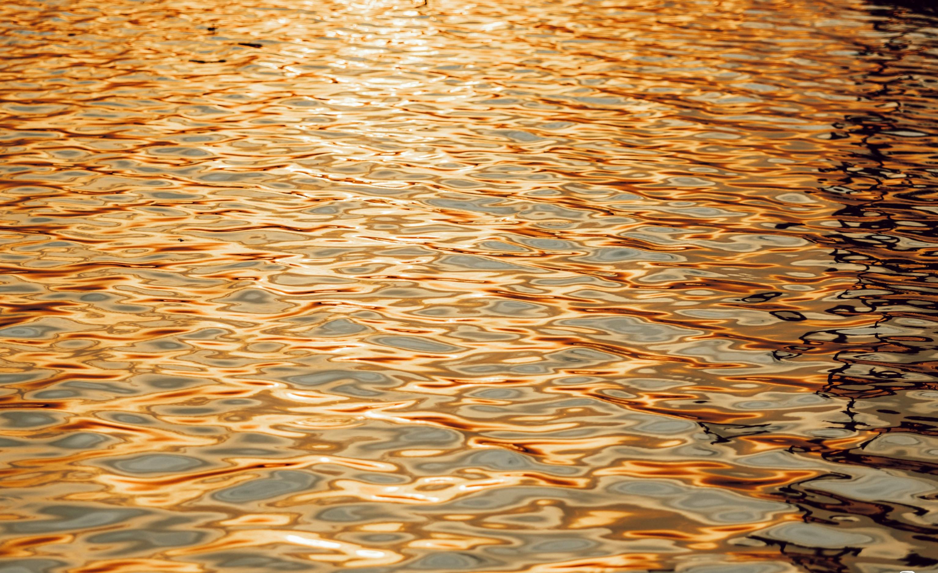 Here comest the alt text