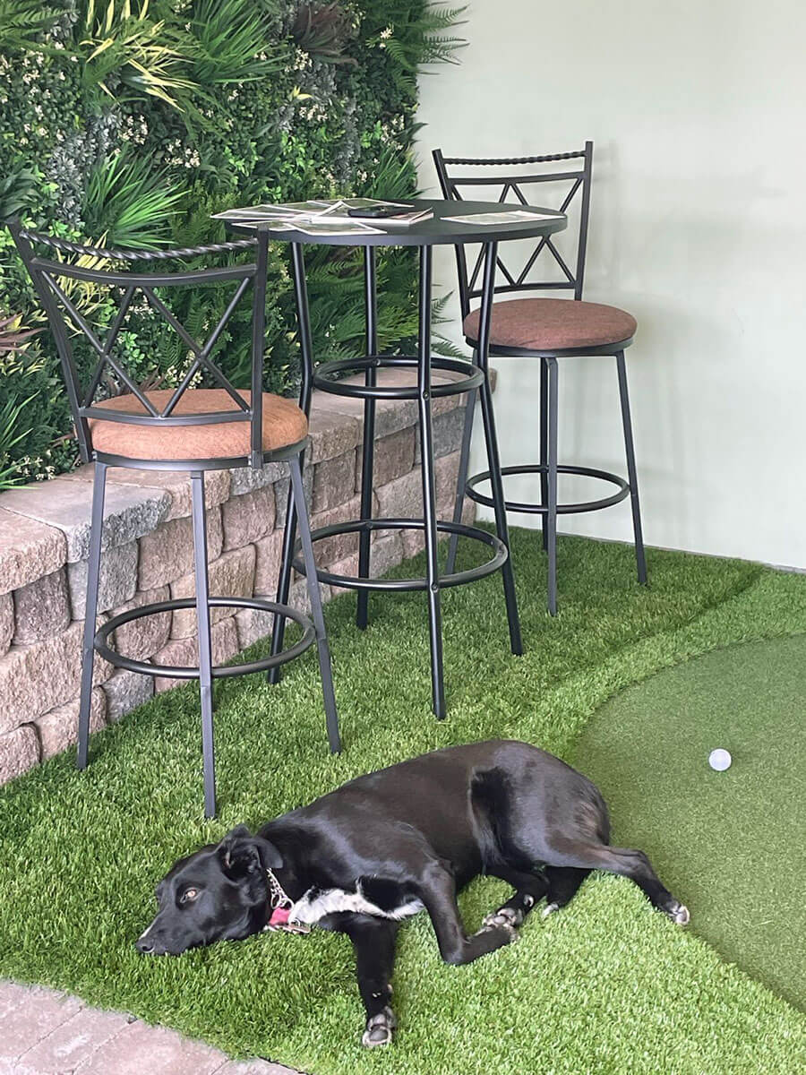 Jacq, the AGL Grass North mascot and furry friend, unwinding on plush artificial grass.