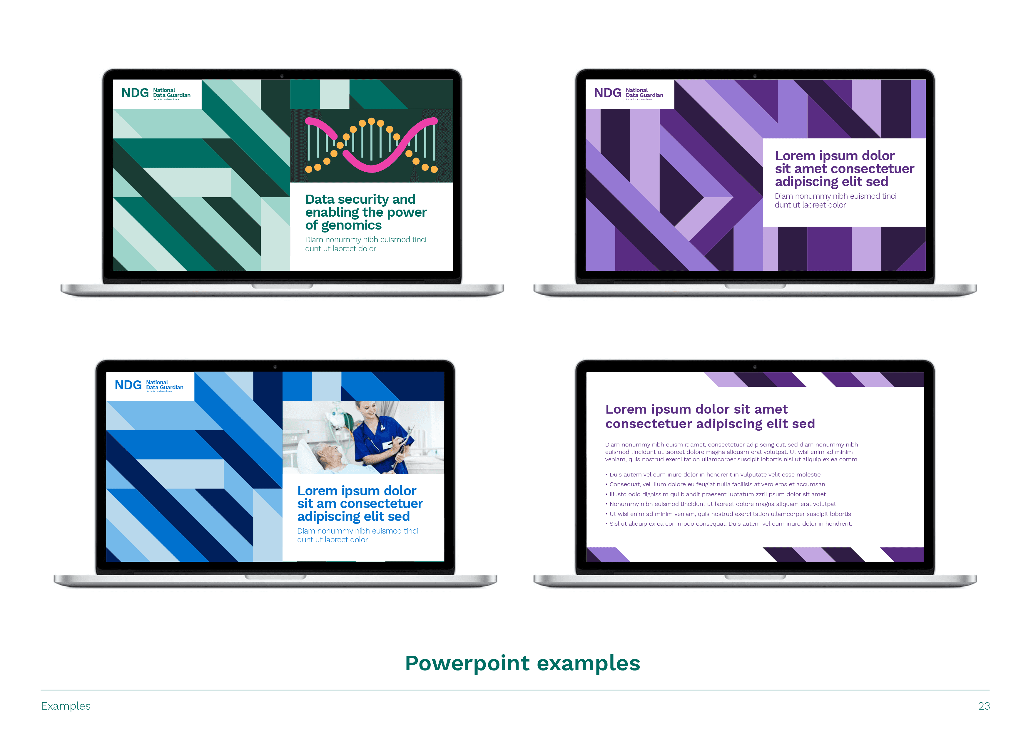 National Data Guardian Brand Identity Powerpoint Presentation