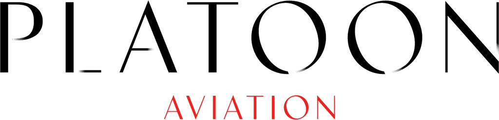 Aerolineas Ejecutivas private aviation company logo