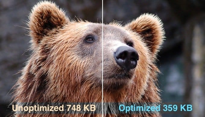 Bear photo split in two: unoptimised at 748 KB and optimised at 359 KB, showing image compression