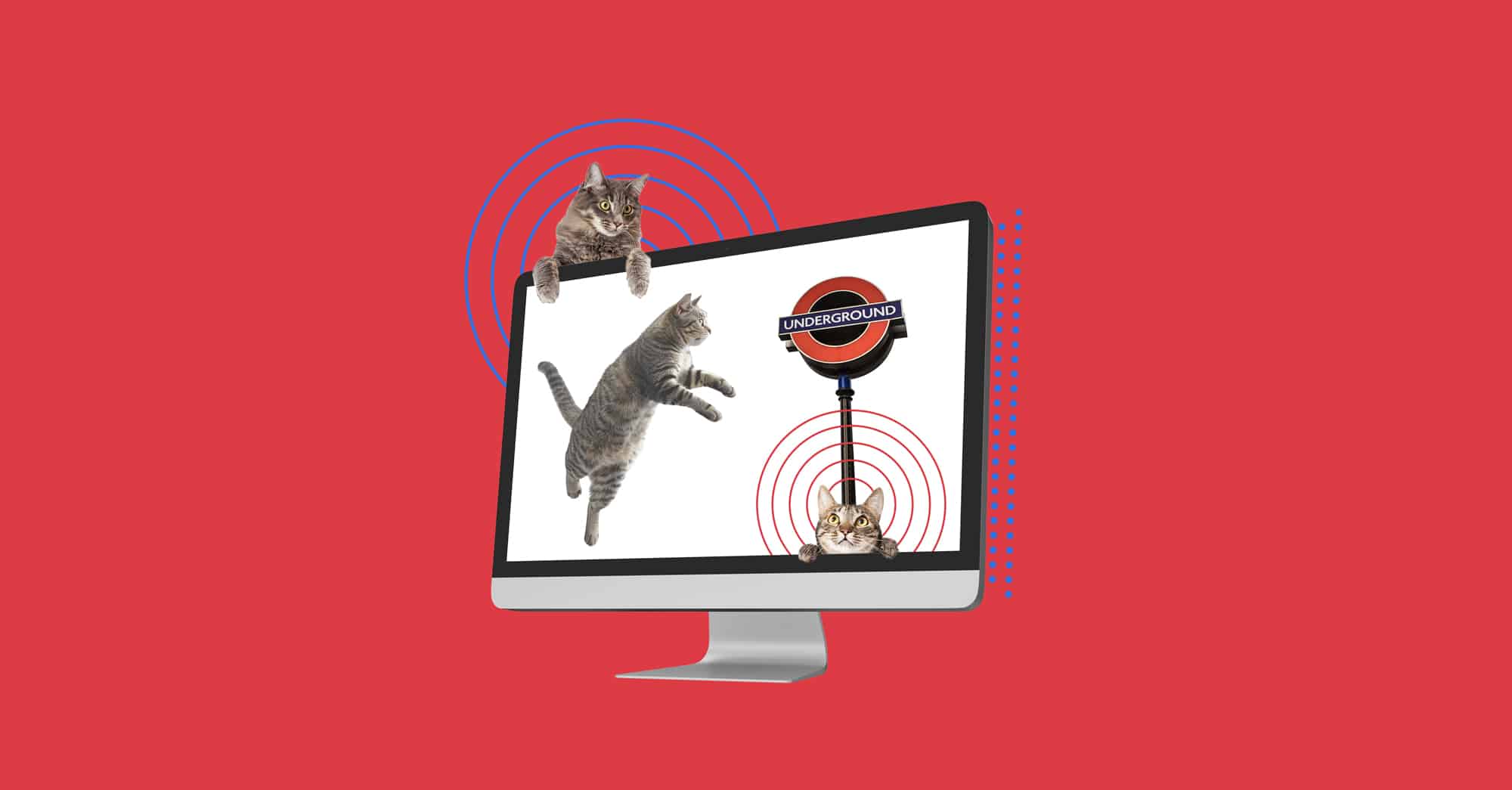 Gatos grises saliendo de una pantalla de computadora con fondo rojo y señal de metro.