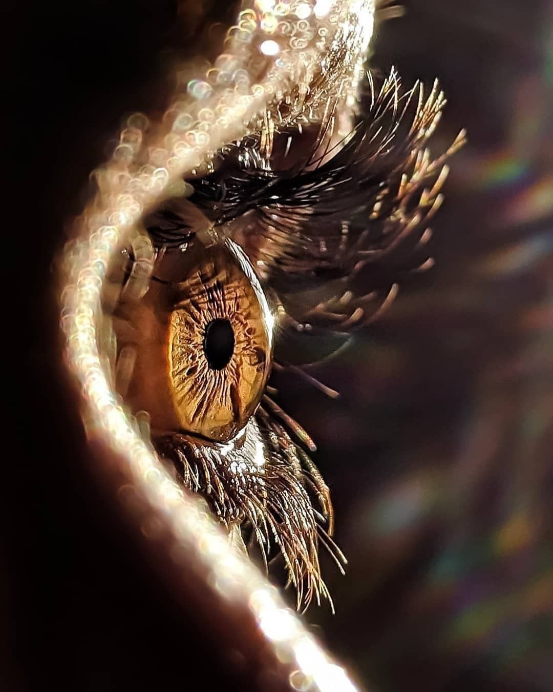 "Best Eye clinic in Hurghada."