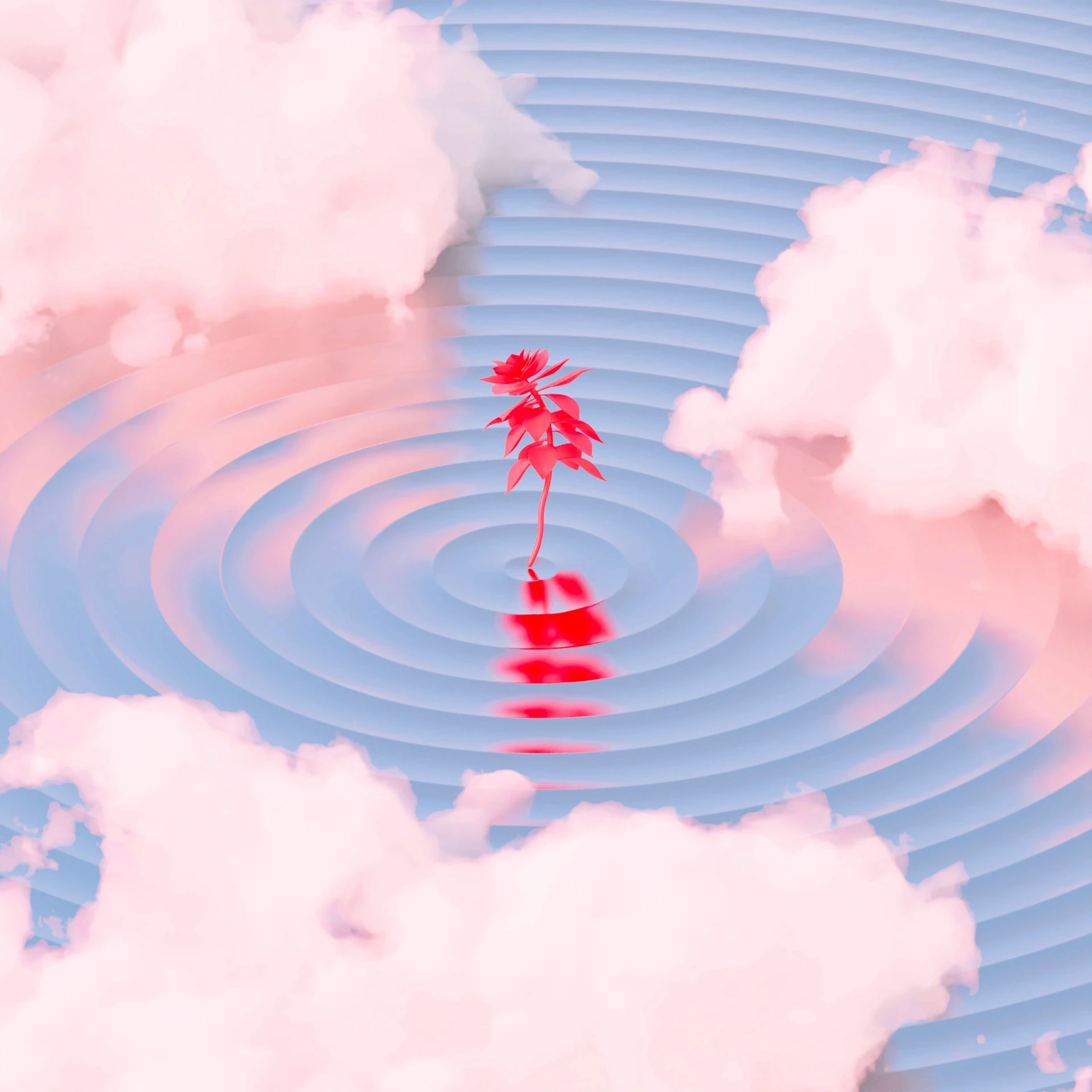 Artistic red plant, ripples, clouds. Freelance graphic designer, brand identity Barcelona.