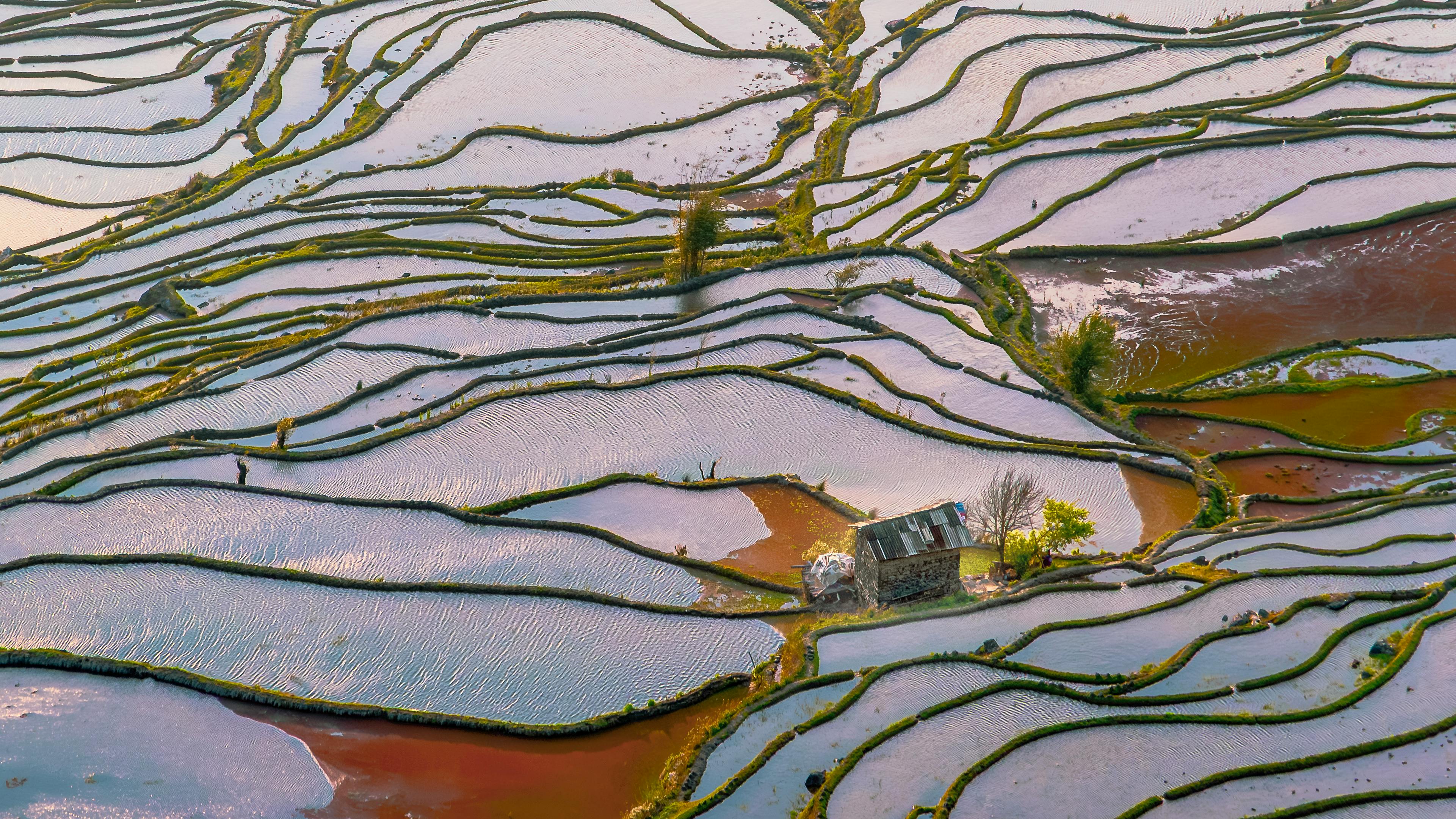 Yuanyang Trek